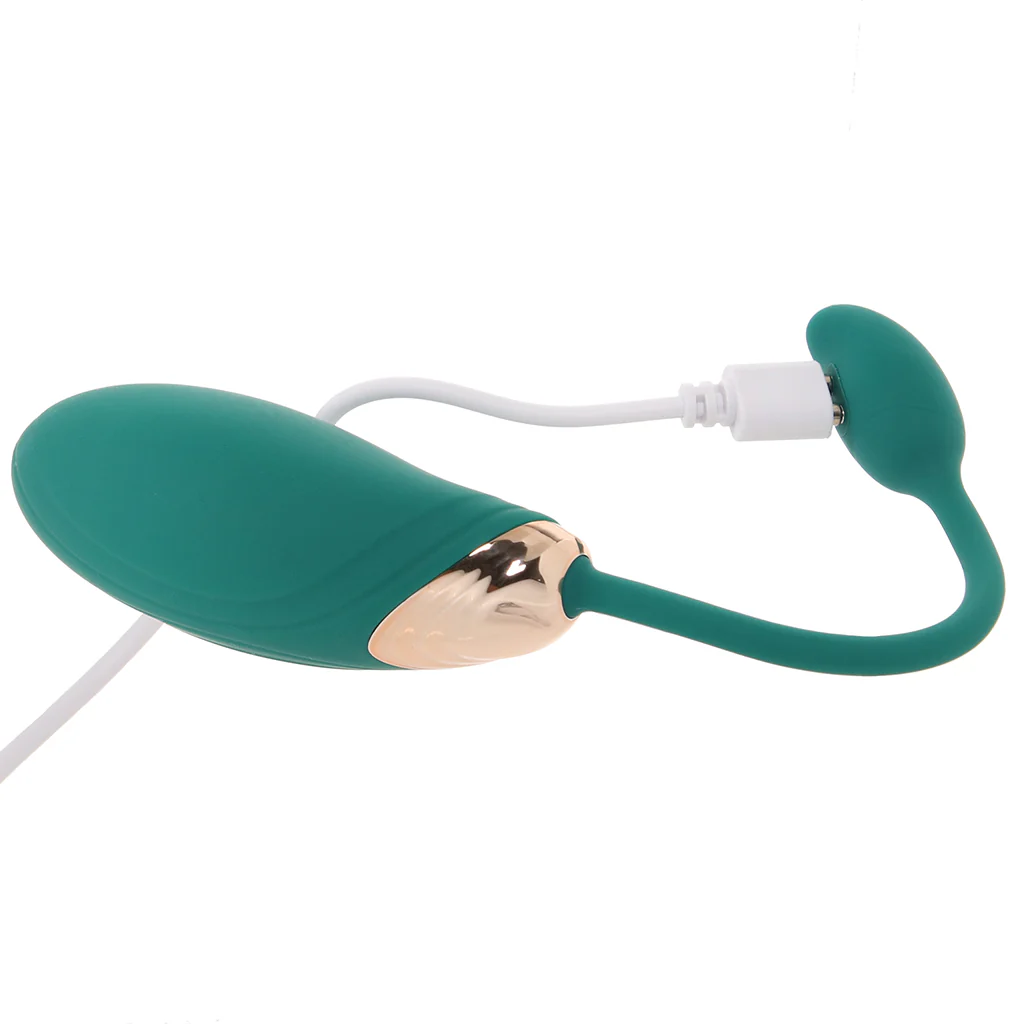 Blaze Dual Massager Kit