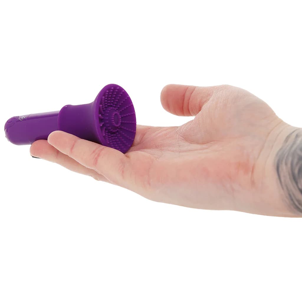CalExotics Pleasure Kits Passion Collection