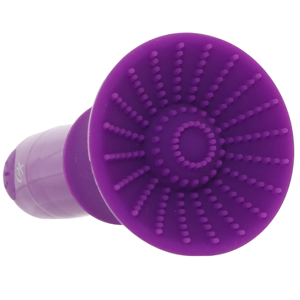 CalExotics Pleasure Kits Passion Collection