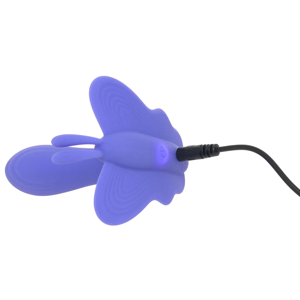 Connect Venus Butterfly