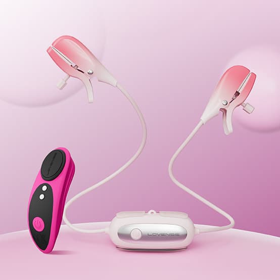Lovense Ferri and Gemini Bundle