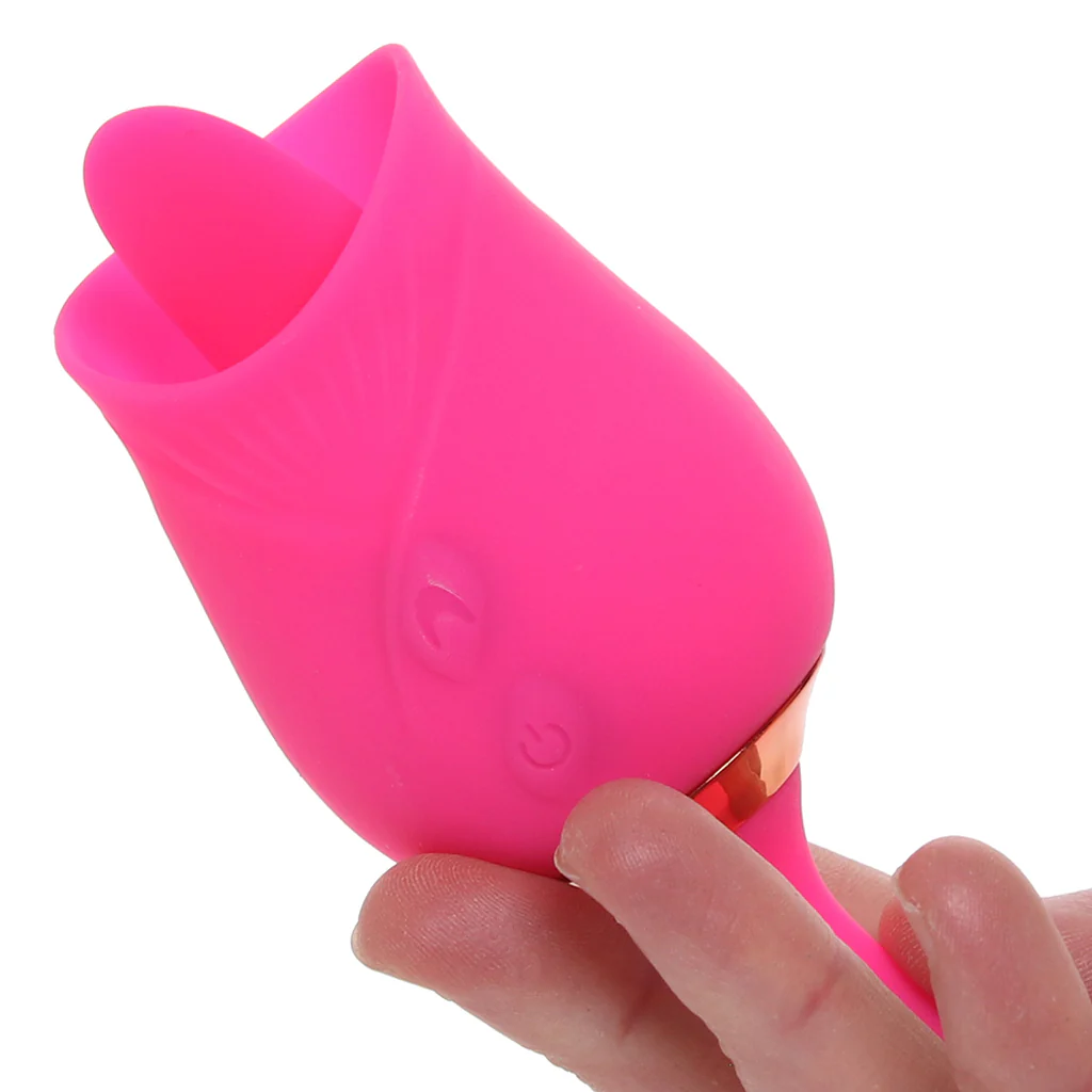 Pink Pussycat Licking Rose