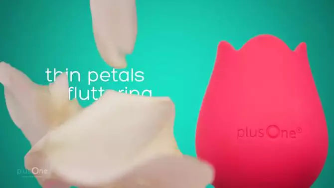 plusOne Rose
