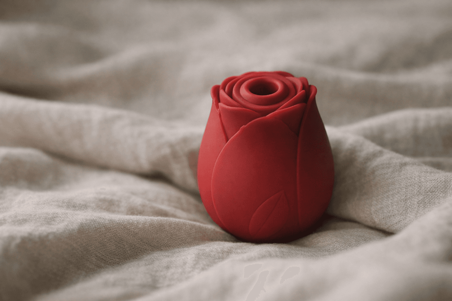 A rose toy on fabric
